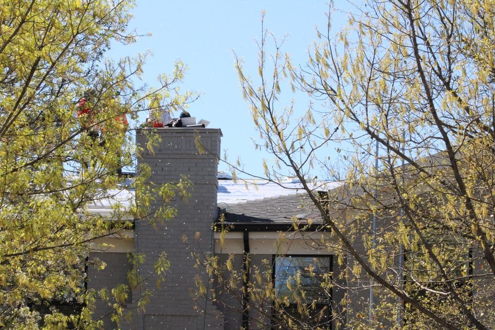 Roof maintenance crew working on a chimney surrounded by spring trees.